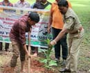 Karkala: Nandalike-Abbanadka Friends Club kick-starts Plant Trees, Save Environ Campaign